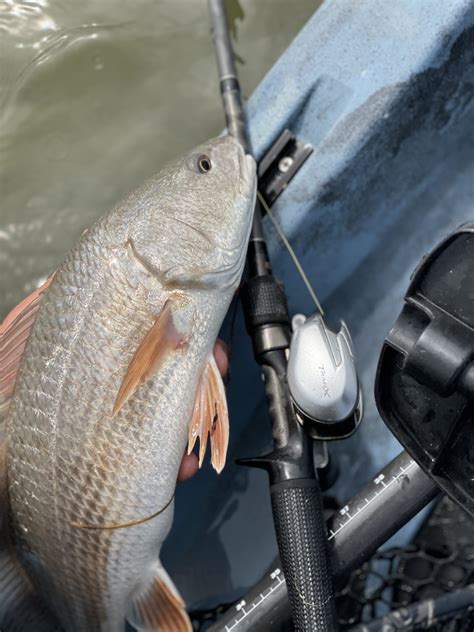 Best Baitcaster Combos of 2024: Budget to Premium .